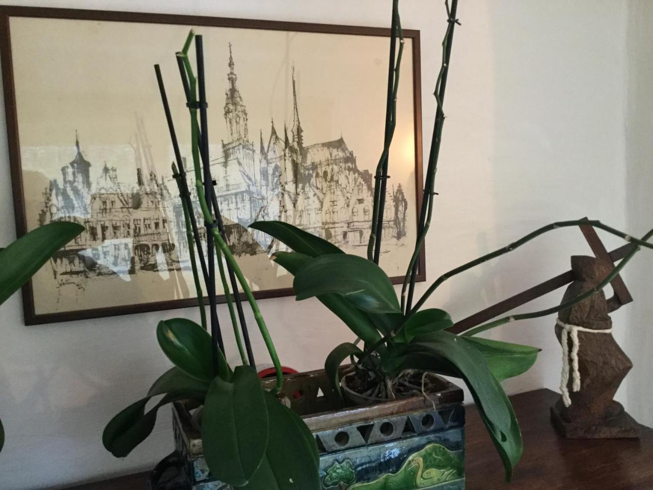 B&B Auberge De Klasse Veurne Esterno foto